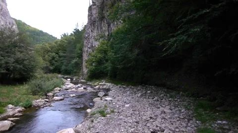 Mountain river through steep rock walls, covered with a dense forest Stock Footage 60401457