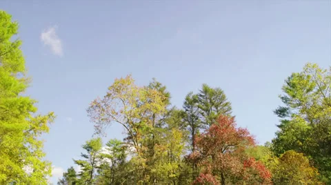 Mountain river - tilt down Stock-Footage 32077328