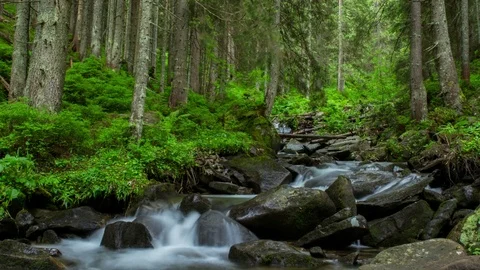 Mountain river time lapse Video stock 75457145