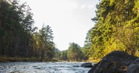 Mountain River Timelapse in Summer or Autumn with Flowing Water Stock Footage 307560716
