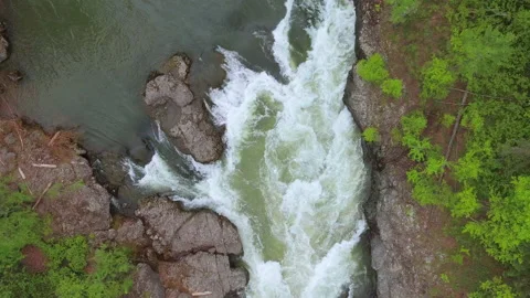 Mountain river, top view Stock Footage 219857661