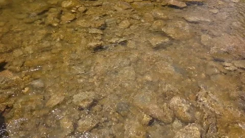 Mountain river with transparent water and stones close up shot Vídeo Stock 79046944