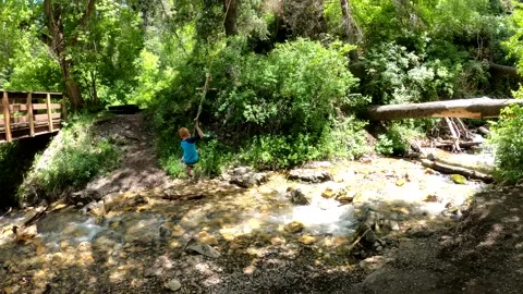 Mountain River Tree Swing Stock Footage 155296738