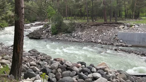 Mountain River. Trees. Green Grass. Stones. Mountains 02 Stock Footage 155619626