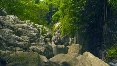 Mountain river in tropical forest. Large stones in r river at mountain forest Stock Footage 93467242