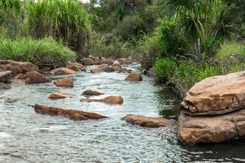 Mountain river in the tropical rainforest Stock Photos