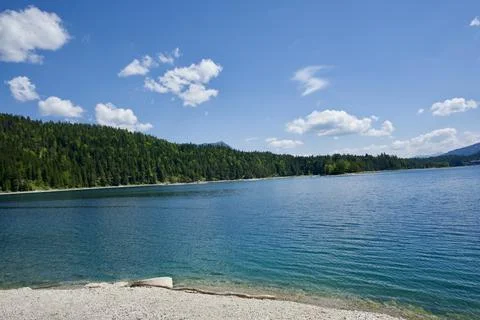 Mountain River Under Blue Sky Surrounded by Forest Wilderness 库存照片