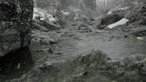 Mountain river under falling snow.Cold gloomy weather. Stock Footage 244709614