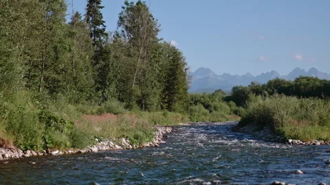 Mountain River under Summer Sun with Polish Tatra Mountains in Background Stock Footage 307268806