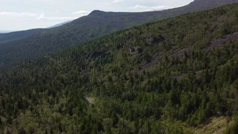 Mountain river in the valley view from a drone Stock Footage 223481457