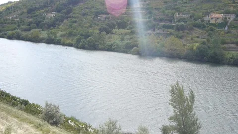 The mountain river. View from the above. Stockbeeldmateriaal 80248547