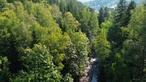 Mountain river, view from above, Karpacz, Poland Stock Footage 288097922
