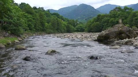 Mountain river view Stock Footage 205008250