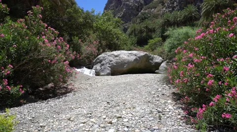 Mountain river walk Stock Footage 64317381