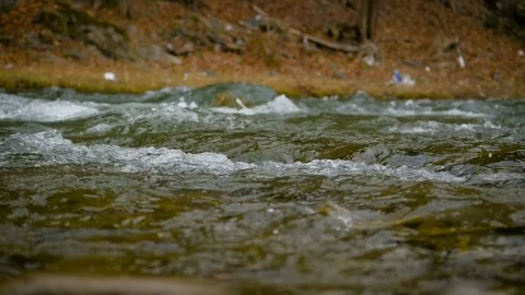 Mountain river water boiling roks Stock Footage 73810019
