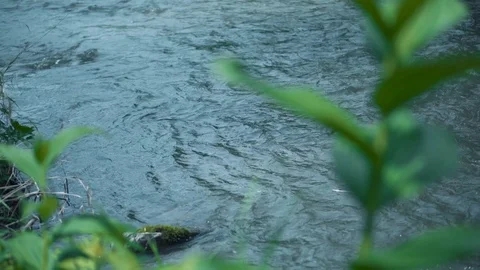 Mountain river water with fast closeup. Stock Footage 111446754
