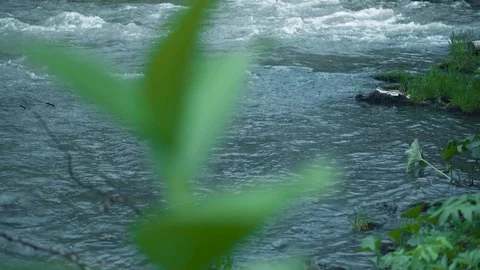 Mountain river water with fast closeup. Stock Footage 111446797
