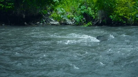 Mountain river water with fast closeup. Stock Footage 111446813