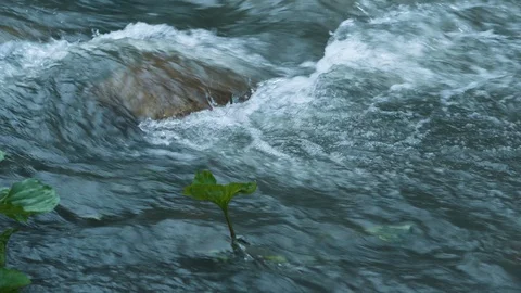 Mountain river water with fast closeup. Stock Footage 111446830