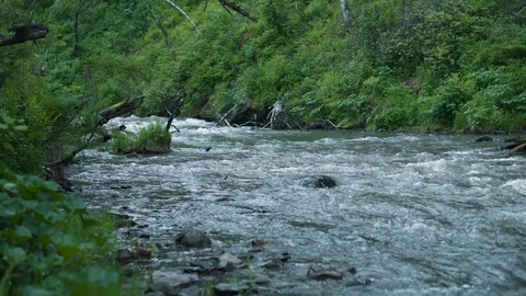 Mountain river water with fast closeup. Stock Footage 111446906
