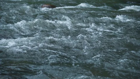 Mountain river water with fast closeup. Stock Footage 111446937