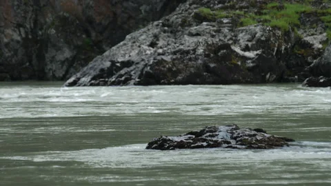 Mountain river, water flow Stock Footage 203902699