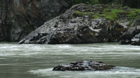 Mountain river, water flow Stock Footage 204107225