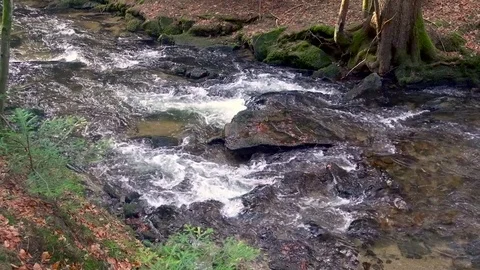 Mountain river, water flowing over rocks and boulders Stock Footage 84862562