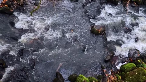 Mountain river water flowing over rocks Stock Footage 321744371