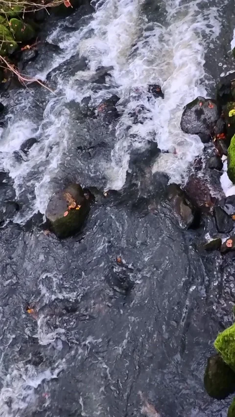 Mountain river water flowing over rocks Stock Footage 321816210