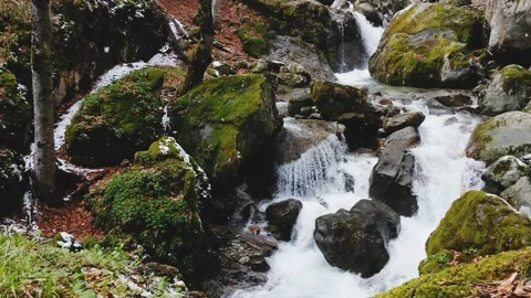 Mountain river water Stock Footage 217884146