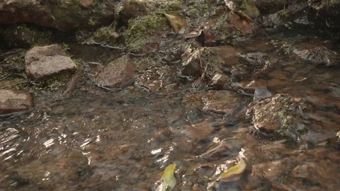 Mountain river. Water in the river close up. Stones in the river. Stock Footage 114632091
