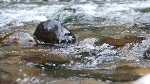 Mountain river water with slow motion closeup Vidéo 103102758