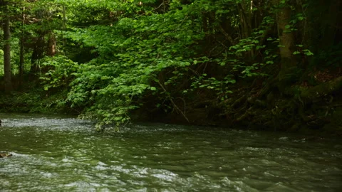 Mountain river water with stone rapids and splashes at summer time Stock Footage 331566510