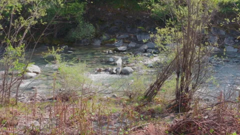Mountain river water stream flowing over rocks close up Stock Footage 340302167