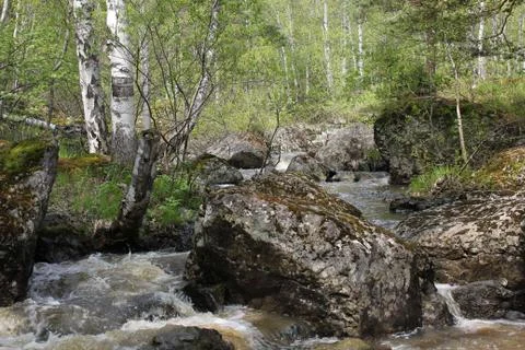 A mountain river waterfall flows through a river bed through huge boulders with Stock-Fotos