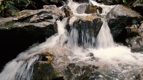 Mountain river waterfall in forest. Beautiful mountain forest landscape. Nature Stock Footage 73609869