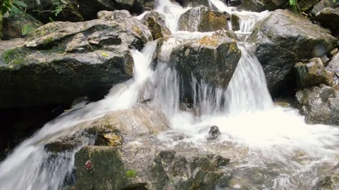 Mountain river waterfall in forest. Beautiful mountain forest landscape. Nature Stock Footage 73610213