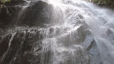 Mountain river waterfall in forest. Beautiful mountain forest landscape. Nature Stock Footage 73610389