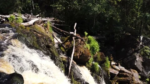 Mountain river. waterfall in forest. view follows the flow of water Stock Footage 134735521