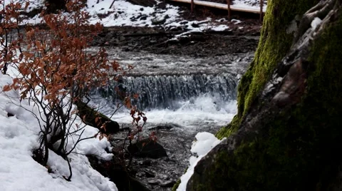 Mountain River Waterfall in Spring Forest. Stock Footage 61016166