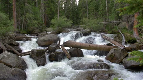 Mountain river waterfalls with broken trees and logs in rocky mountain nati Stock Footage 135491196