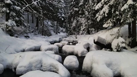 Mountain river with waterfalls flowing through the winter forest Stock Footage 146663137
