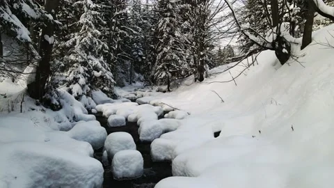 Mountain river with waterfalls flowing through the winter forest Stock Footage 146665336