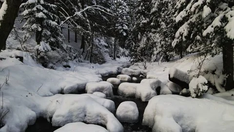 Mountain river  with waterfalls flowing through the winter forest in Be Stock Footage 146665654