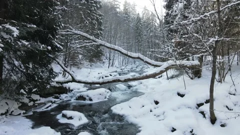 Mountain river with waterfalls flowing through the winter forest. Stock Footage 148488008