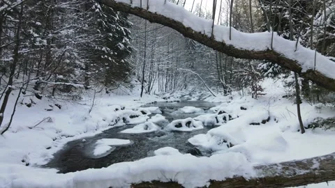 Mountain river with waterfalls flowing through the winter forest. Stock Footage 148488167