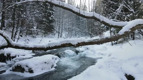 Mountain river with waterfalls flowing through the winter forest. Stock Footage 148488413