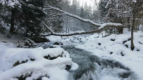 Mountain river with waterfalls flowing through the winter forest. Stock Footage 148489014