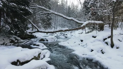 Mountain river with waterfalls flowing through the winter forest. Stock Footage 148489412